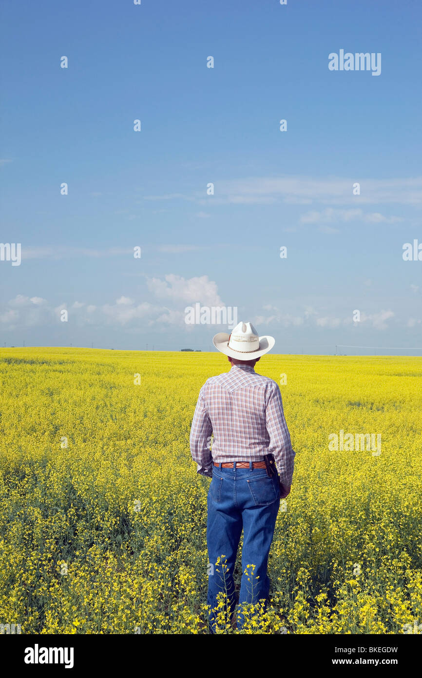 Rear view of farmer standing in canola field hi-res stock photography ...