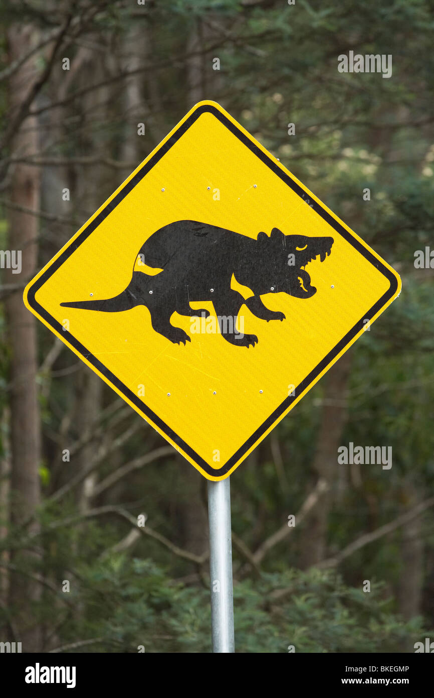 Tasmanian Devil warning sign, Tasman Peninsula, Southern Tasmania, Australia Stock Photo