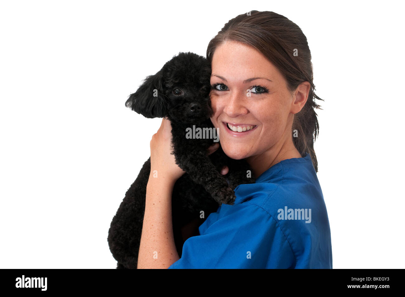 Veterinary assistant holding pet dog isolated Stock Photo Alamy