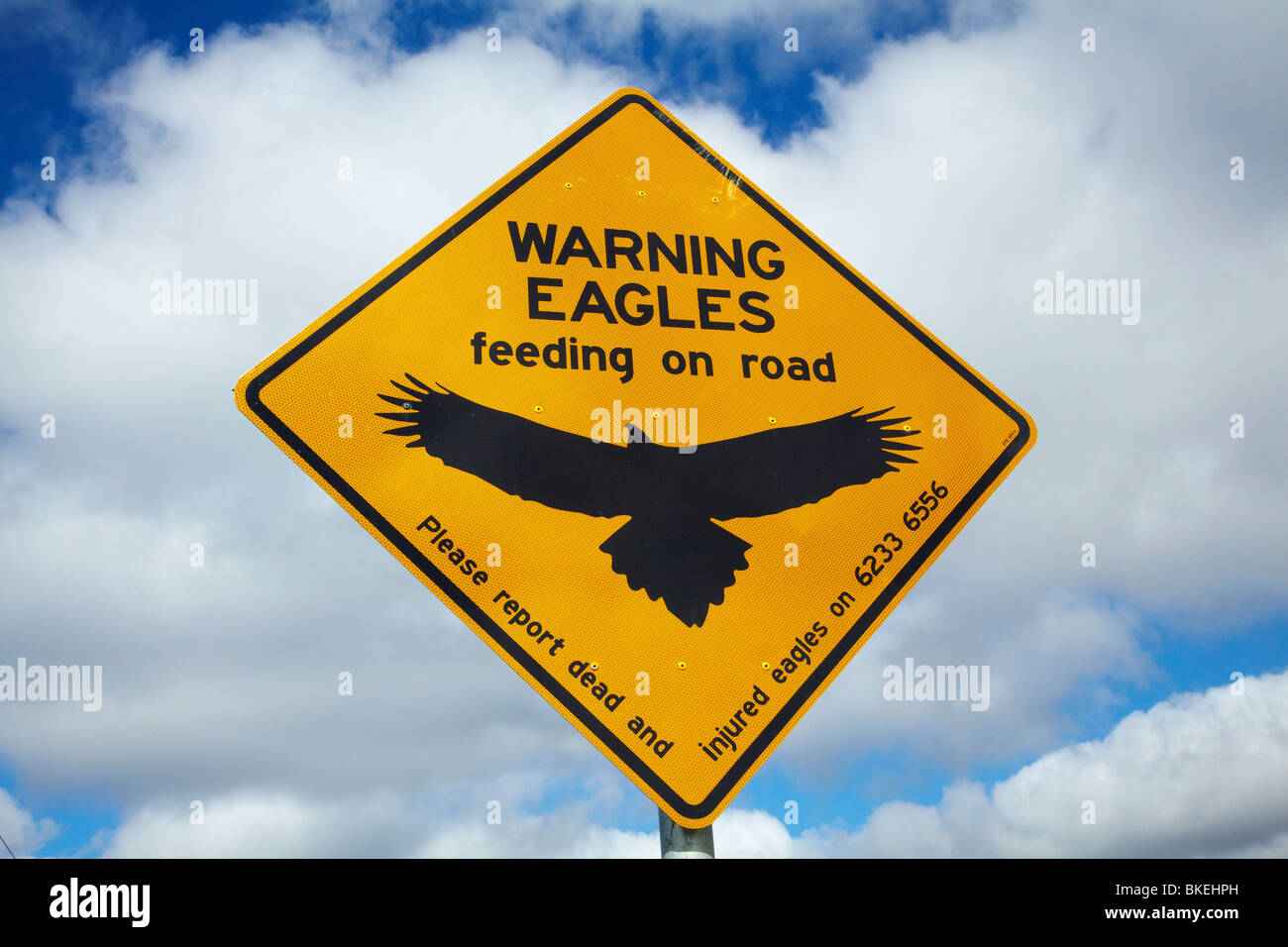 Eagle Warning Sign, Bass Highway near Smithton, Northern Tasmania, Australia Stock Photo