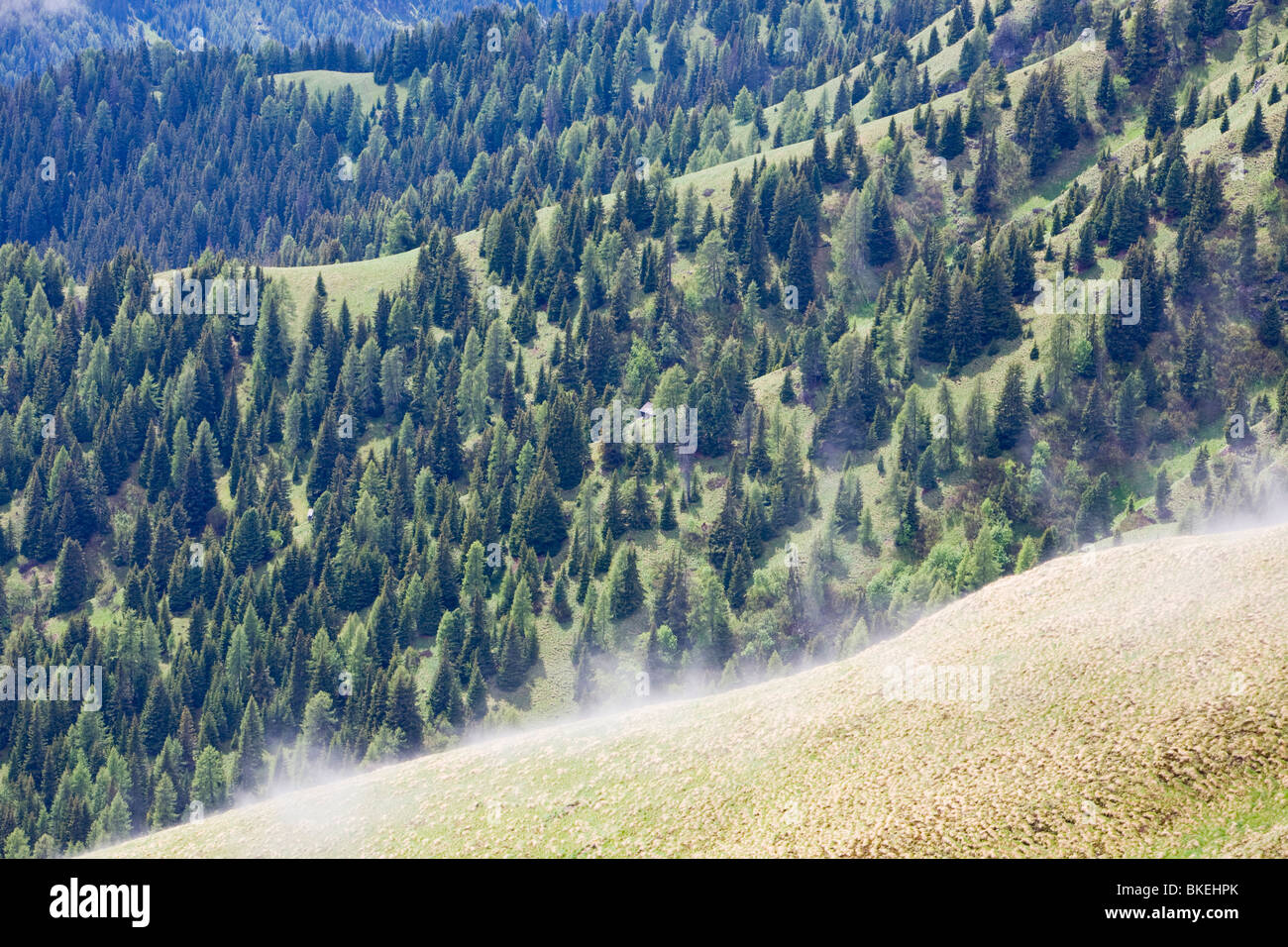 Mist rising from the slopes of the Italian Dolomites after rain Stock Photo Alamy
