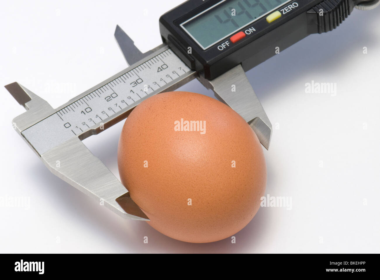 Single egg under calibration by electronic digital caliper Stock Photo