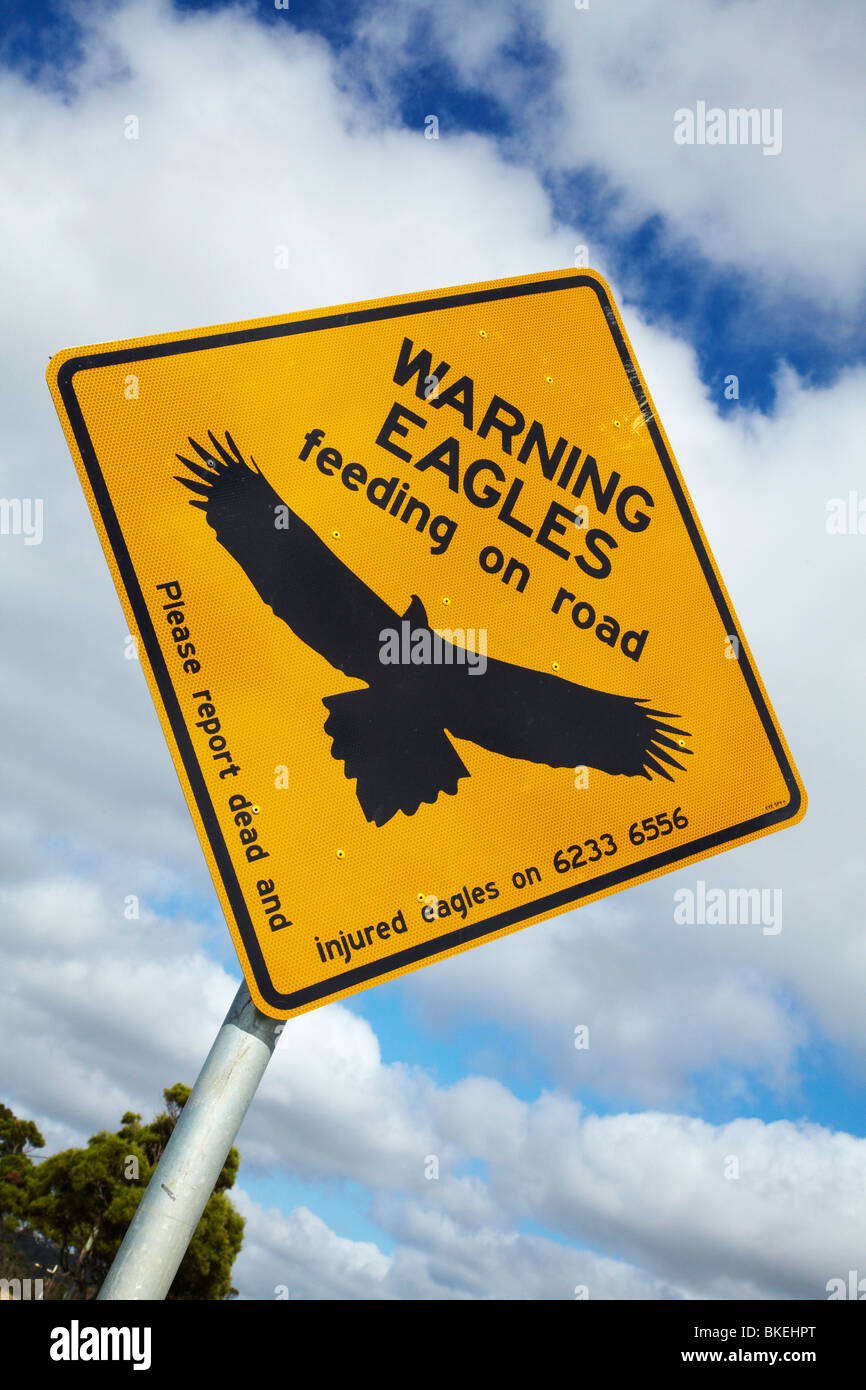 Eagle Warning Sign, Bass Highway near Smithton, Northern Tasmania, Australia Stock Photo