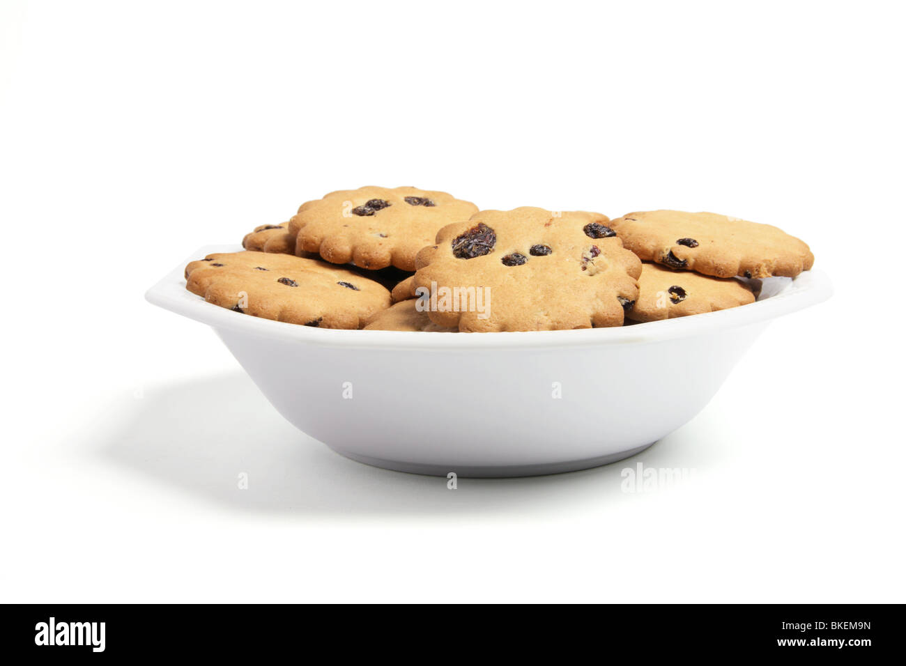 Plate of Raisin Biscuits Stock Photo