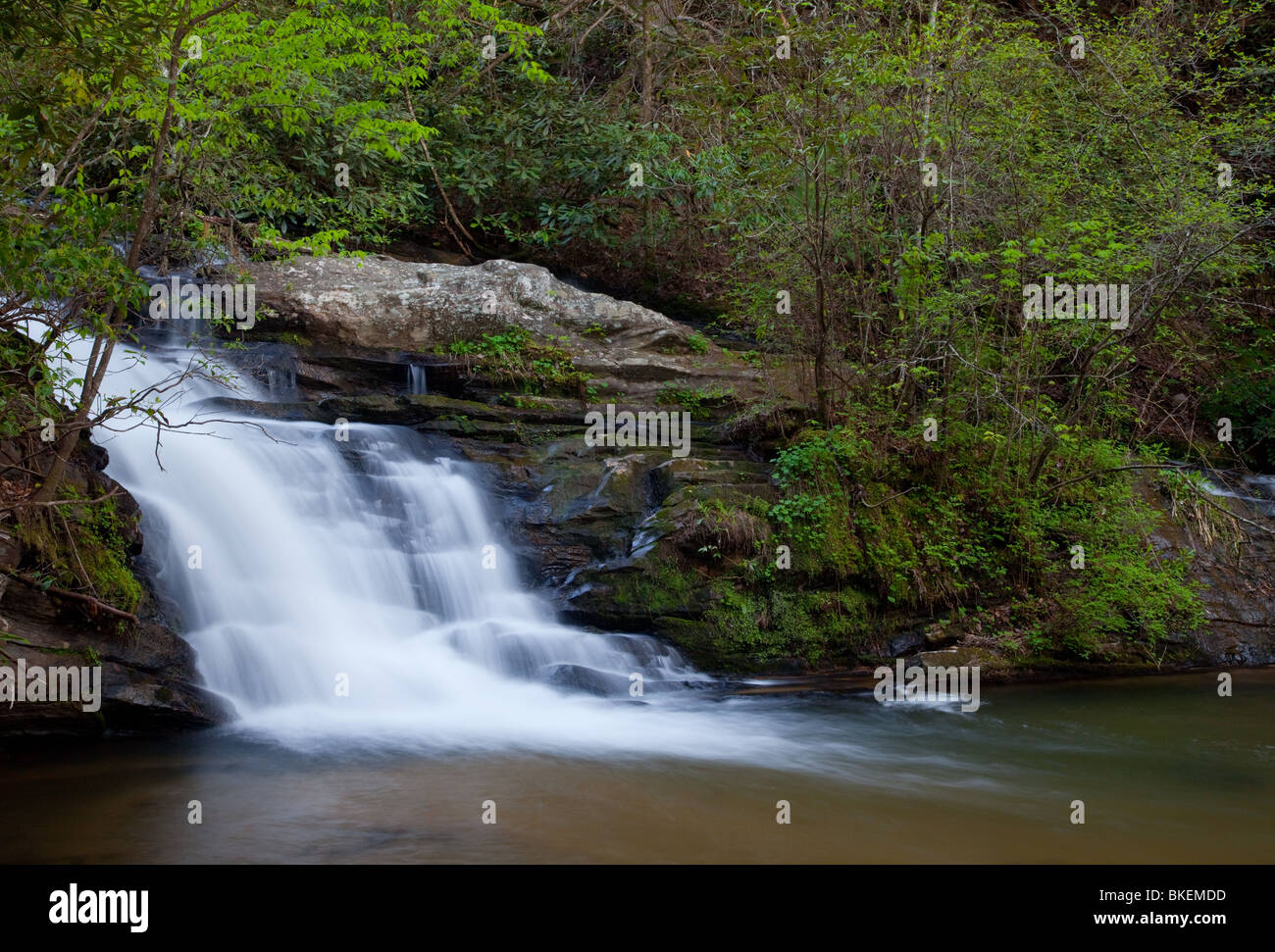 Pigpen Falls, Licklog Creek, Andrews Pickens Ranger District, Sumter National Forest, South Carolina Stock Photo