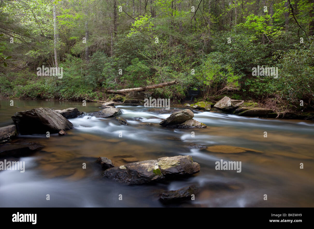 Chauga River, Chauga River Scenic Area, Andrews Pickens Ranger District