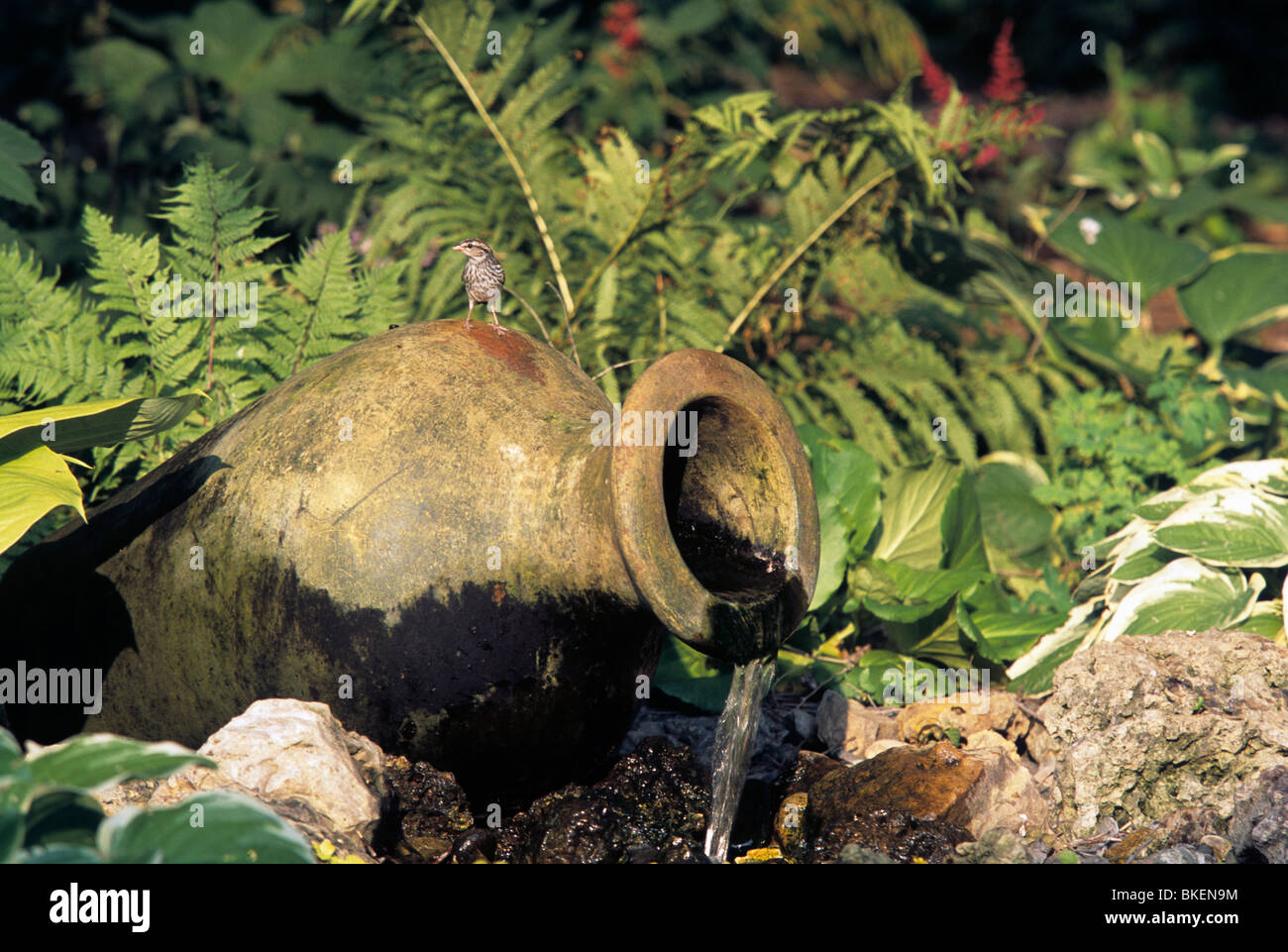 Small garden water features hires stock photography and images Alamy