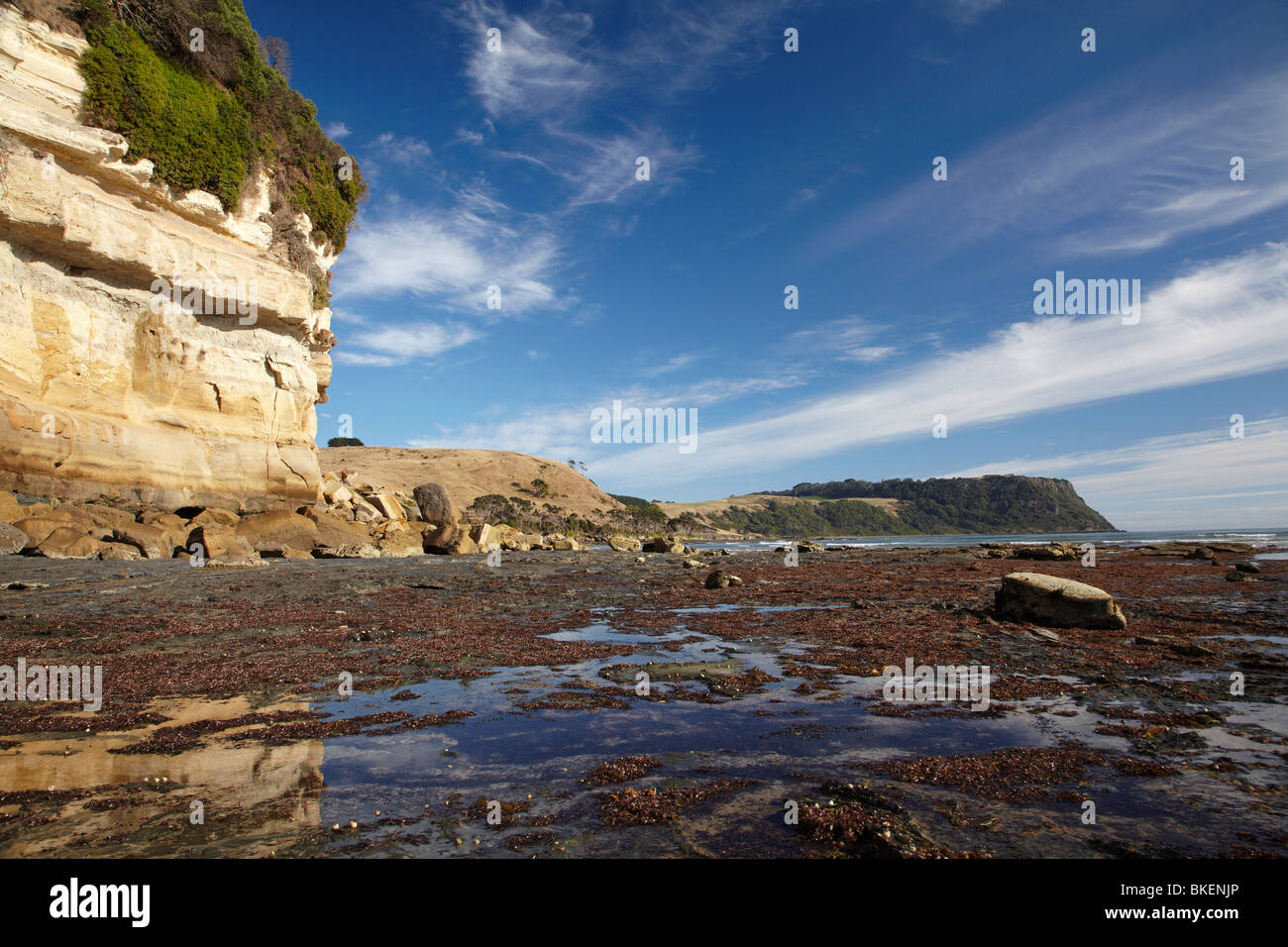 Fossil Bluff, Wynyard, North Western Tasmania, Australia Stock Photo