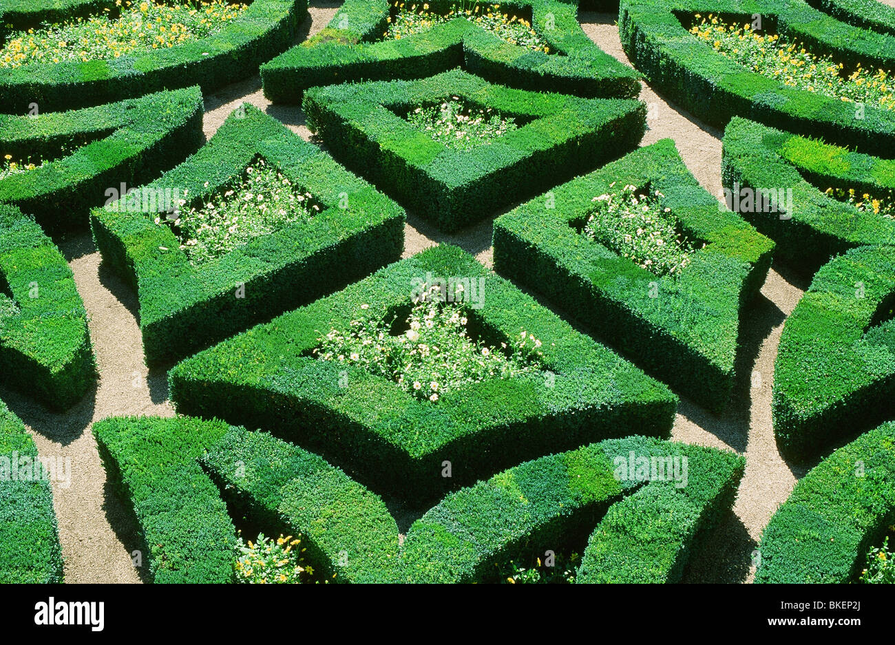 A maze at a french chateau in the Dordogne Stock Photo