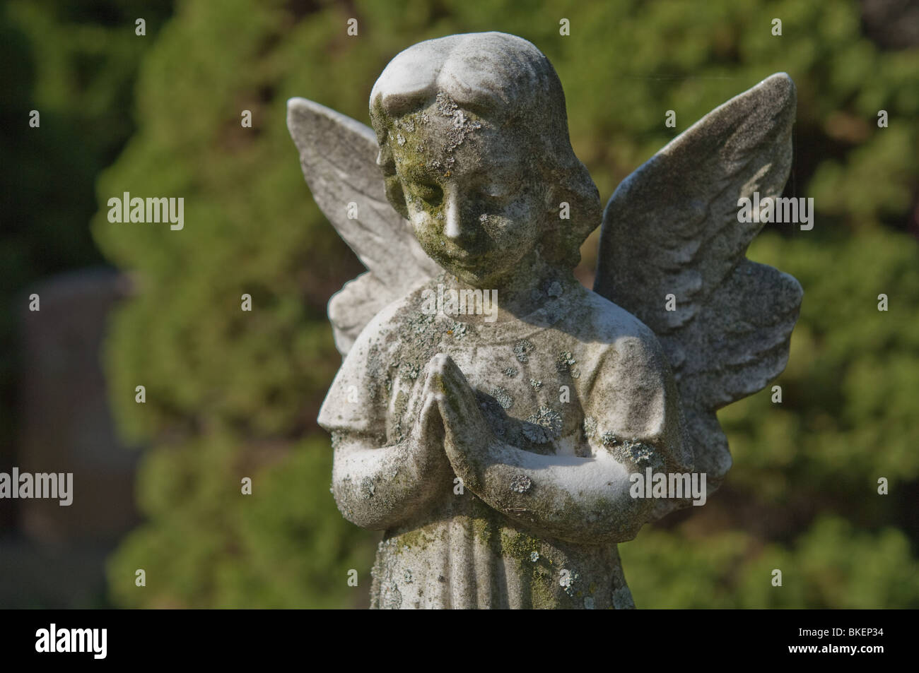 A statue of a childlike angel gently clasps its' hands in silent eternal prayer. Stock Photo