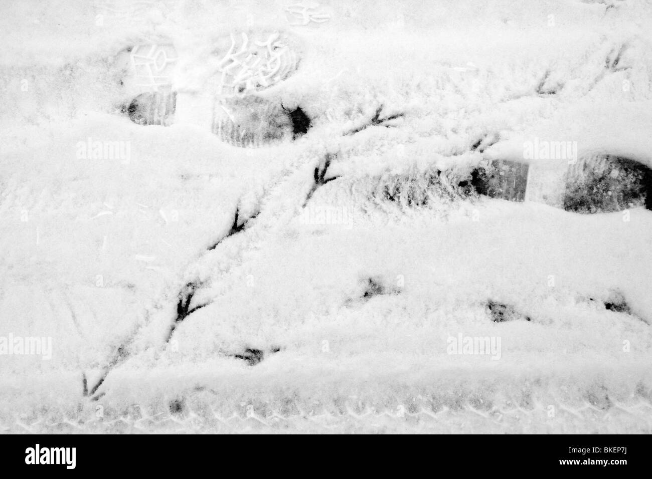 Human footprint snow Black and White Stock Photos Images Alamy