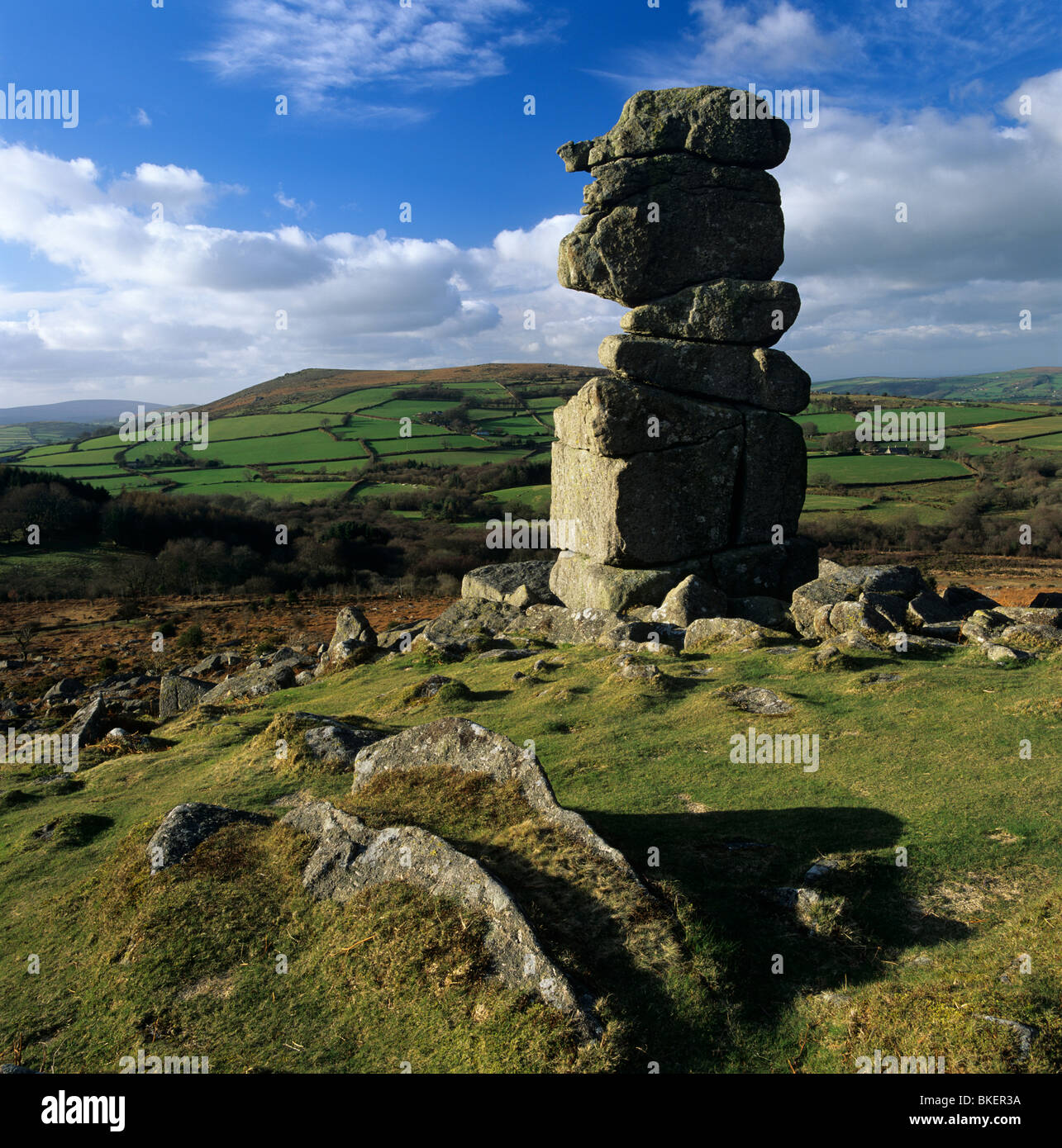Bowermans Nose weathered granite rock formation on Hayne Down near the village of Manaton on Dartmoor Stock Photo