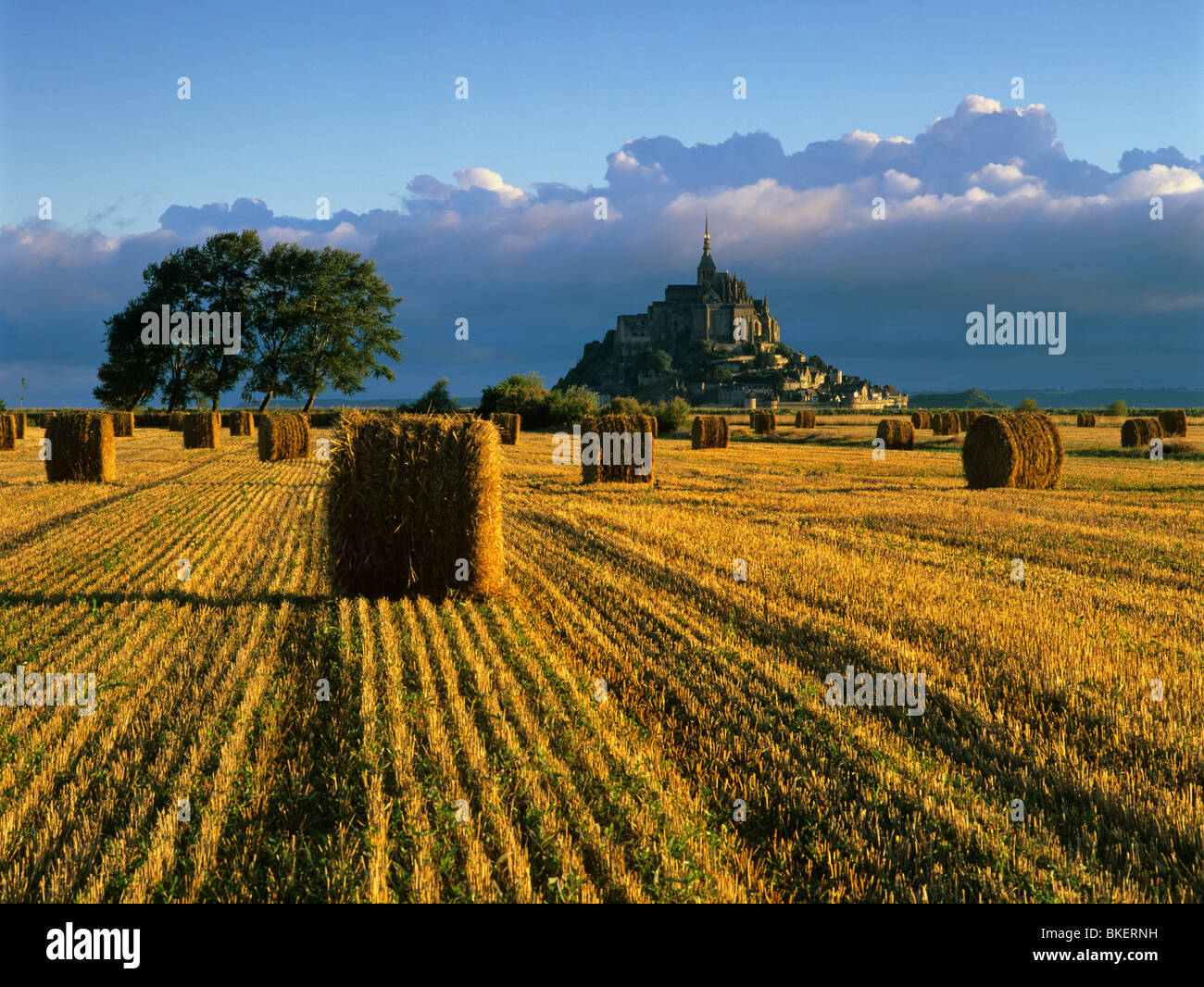 Hay bales in front of Mont St Michel Stock Photo