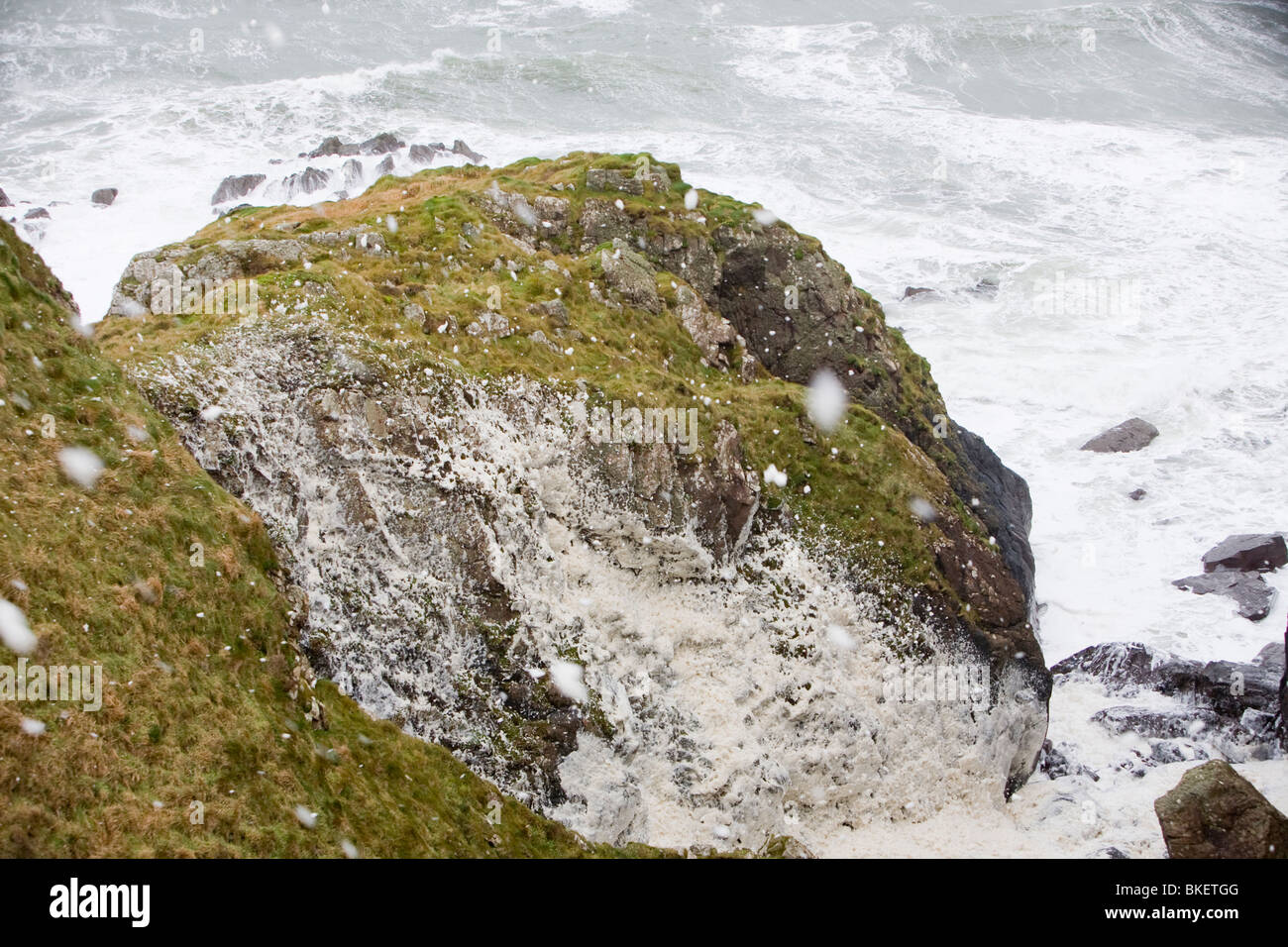 Spume blown inland from a stormy sea on The Rhins of Galloway Scotland UK. Stock Photo
