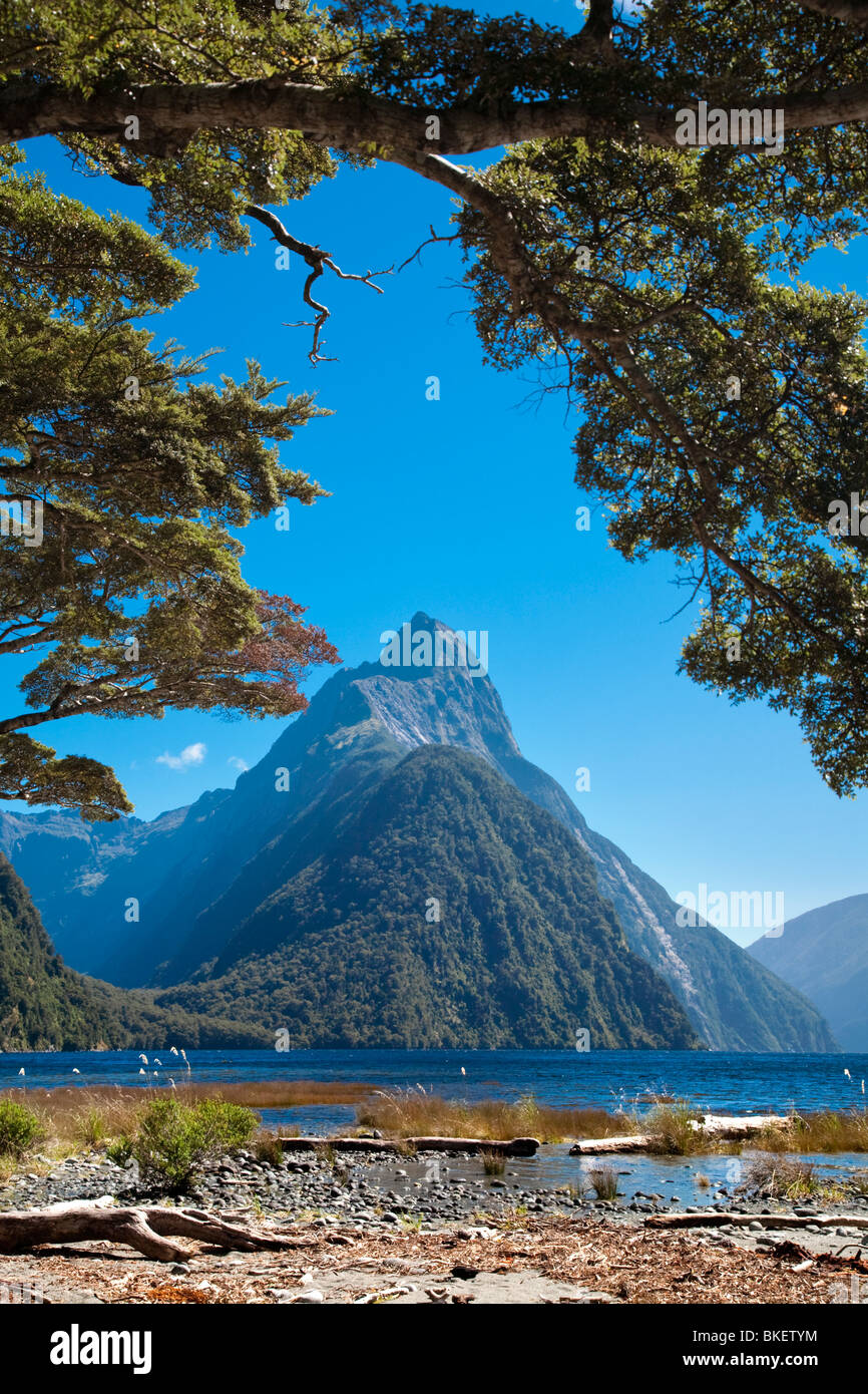 Mountain range with lake and trees, Mitre Peak, Milford Sound, South Island, New Zealand Stock Photo