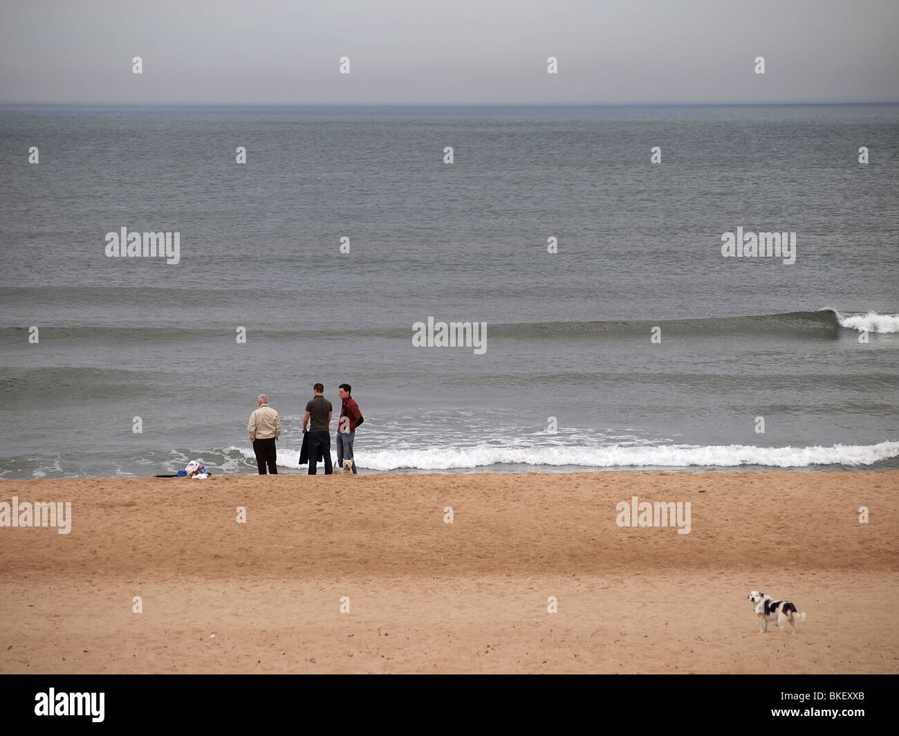 Family with a dog spending time at the beach in Seaton Delaval in Northumberland, England Stock Photo