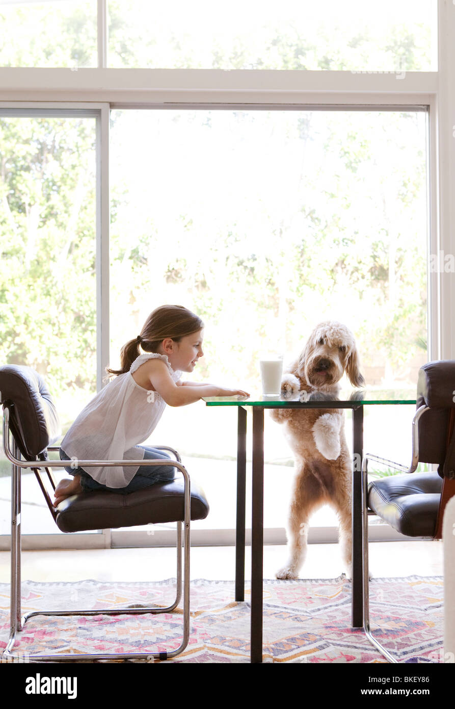 Young girl and dog at modern table with glass of milk Stock Photo