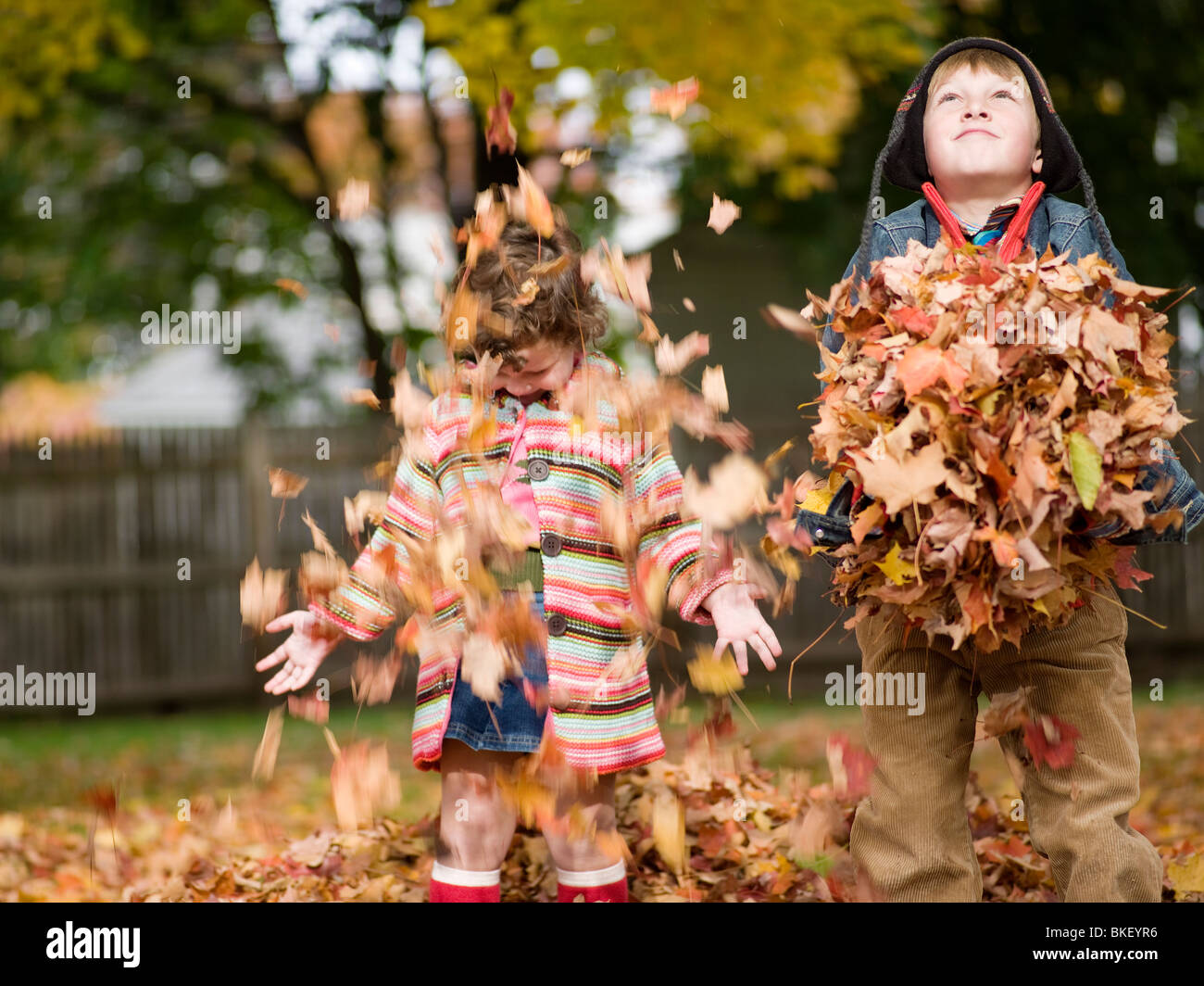 Brother and sister playing in autumn leaves Stock Photo Alamy