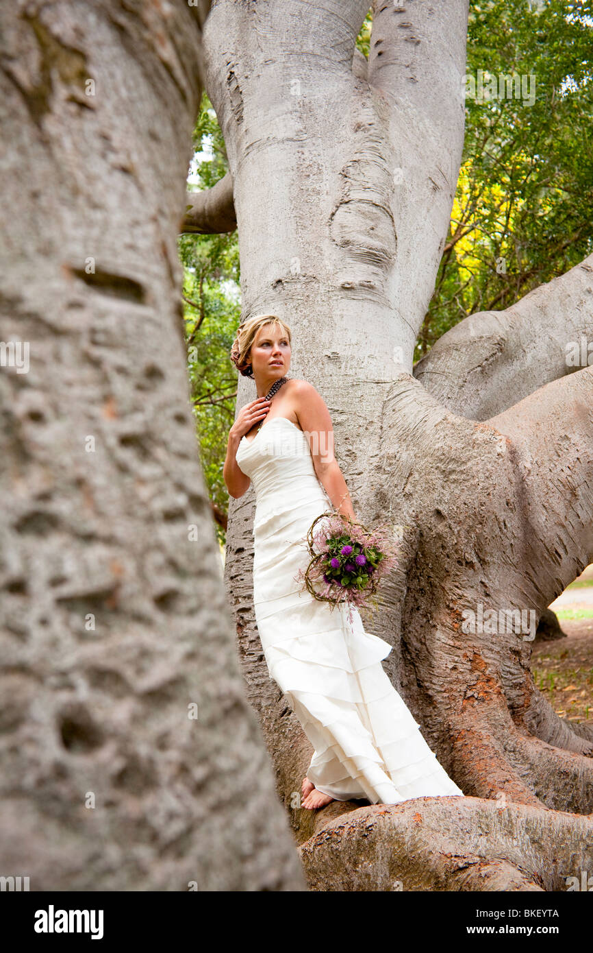 Barefoot bride on tree, earthy green bride Stock Photo - Alamy