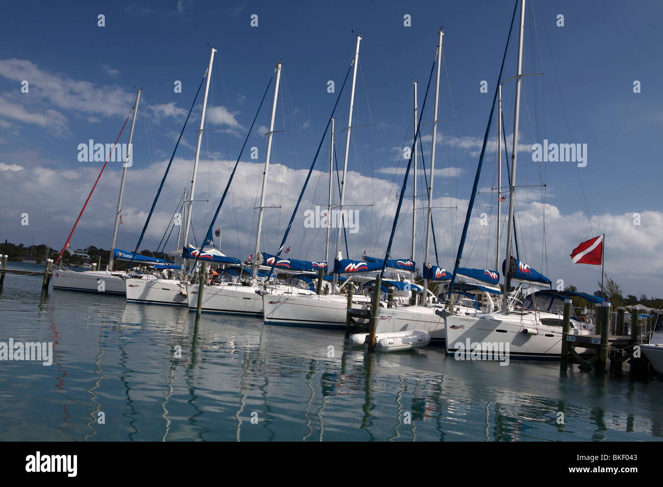 Fleet of sailboats moored up in slips in a marina with a dive flag. Stock Photo