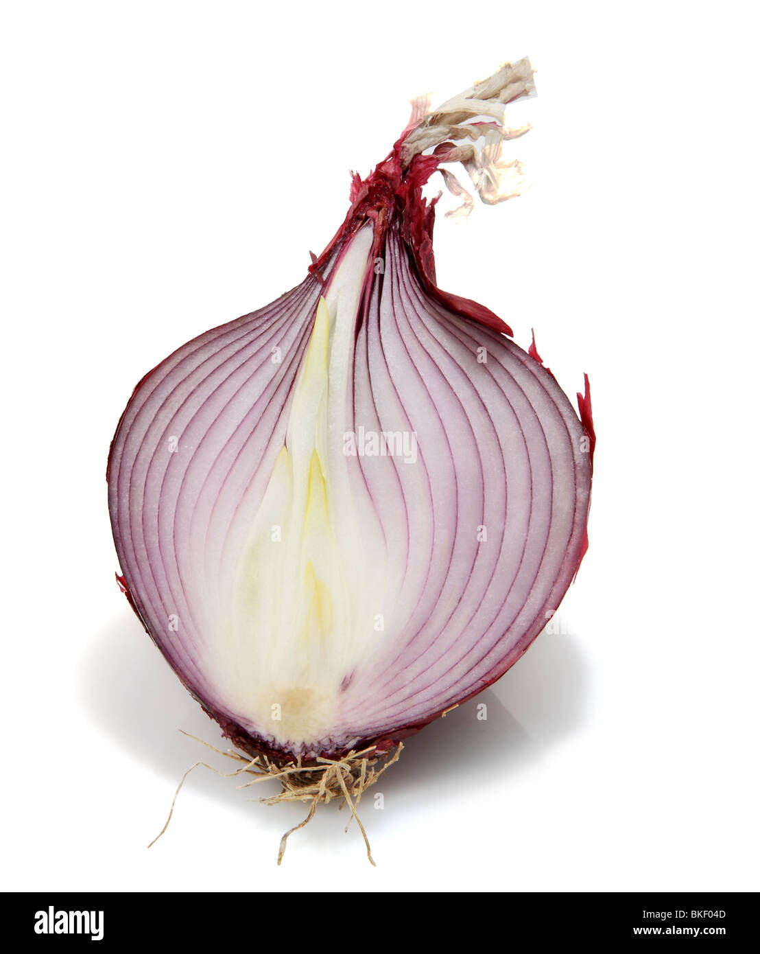 Red onion cut in half Stock Photo