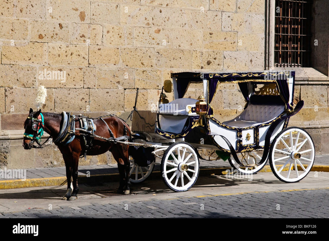 Horse drawn carriage waiting for tourists in historic Guadalajara, Jalisco, Mexico Stock Photo