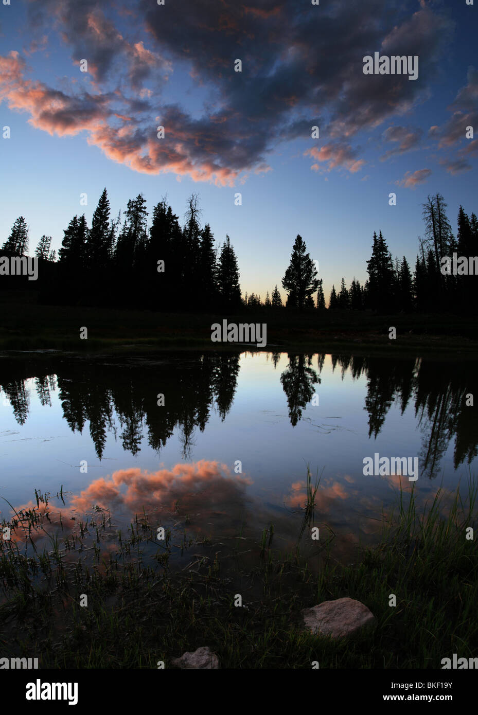 reflection of a sunset cloud in a lake with trees Stock Photo - Alamy