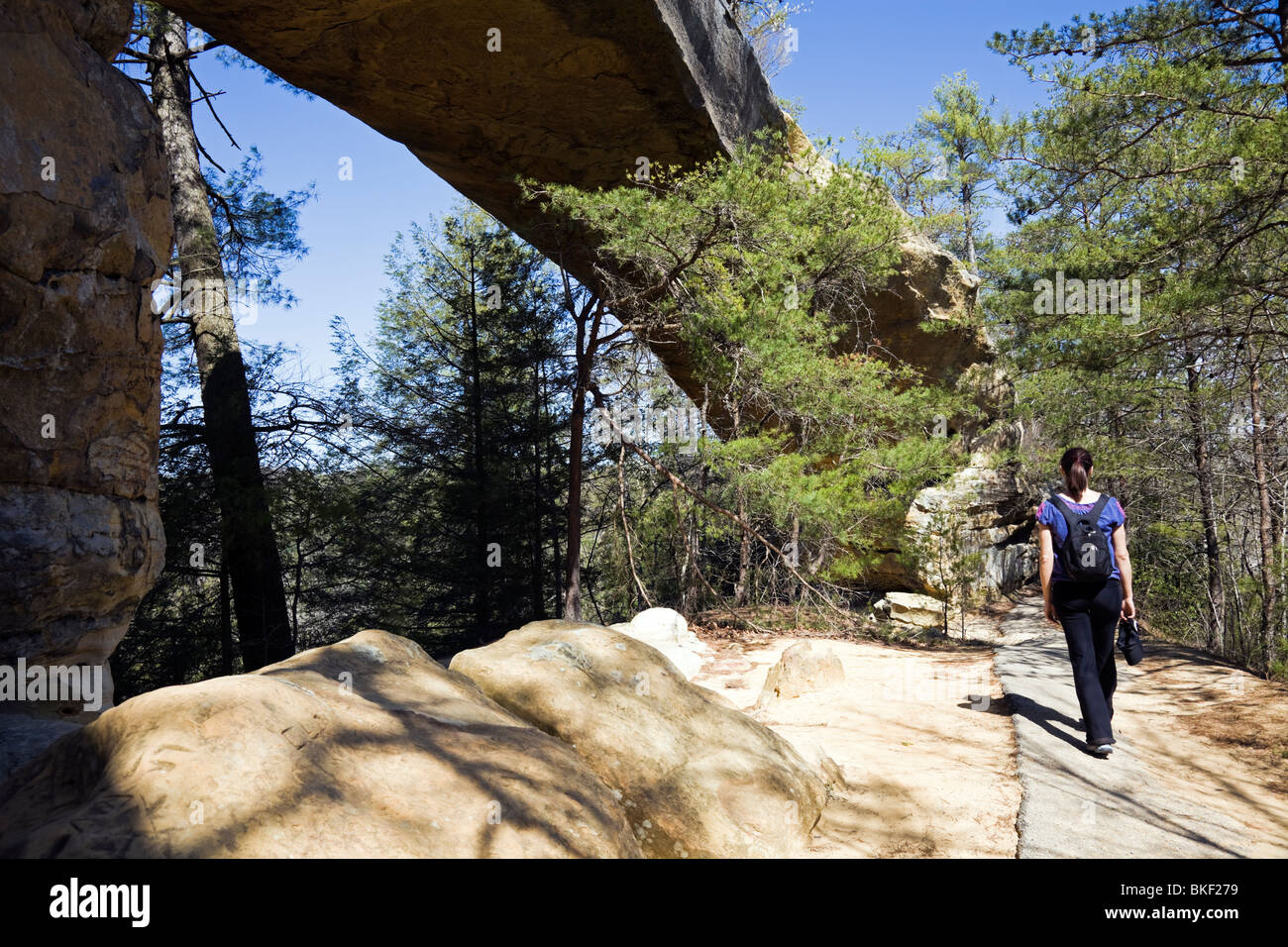 Tourist walking by the natural bridge in Red River Gorge State Park, Kentucky. Stock Photo