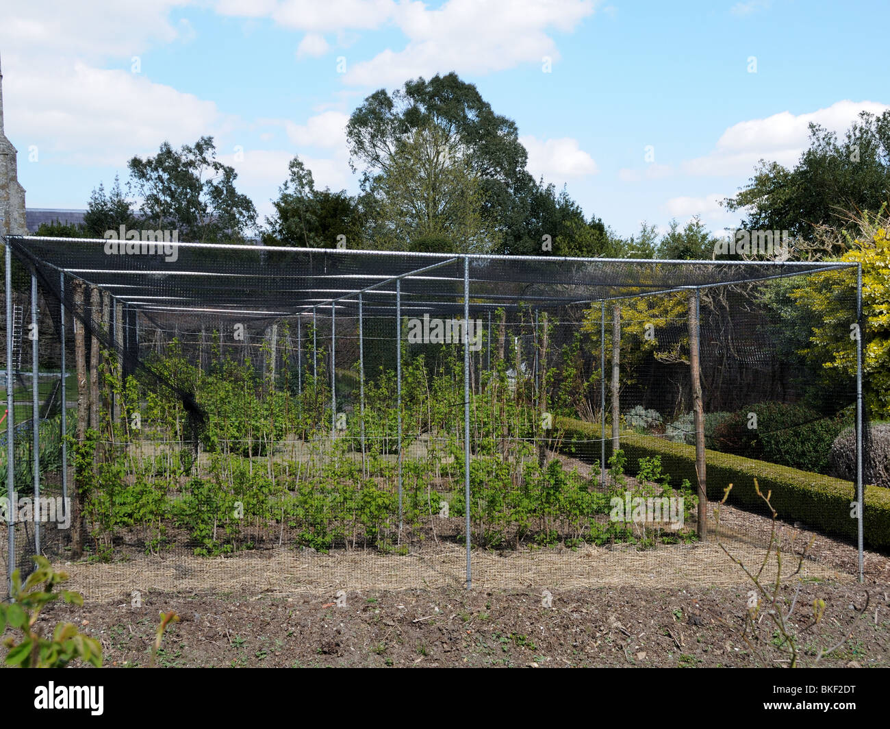 Fruit cage hi-res stock photography and images - Alamy