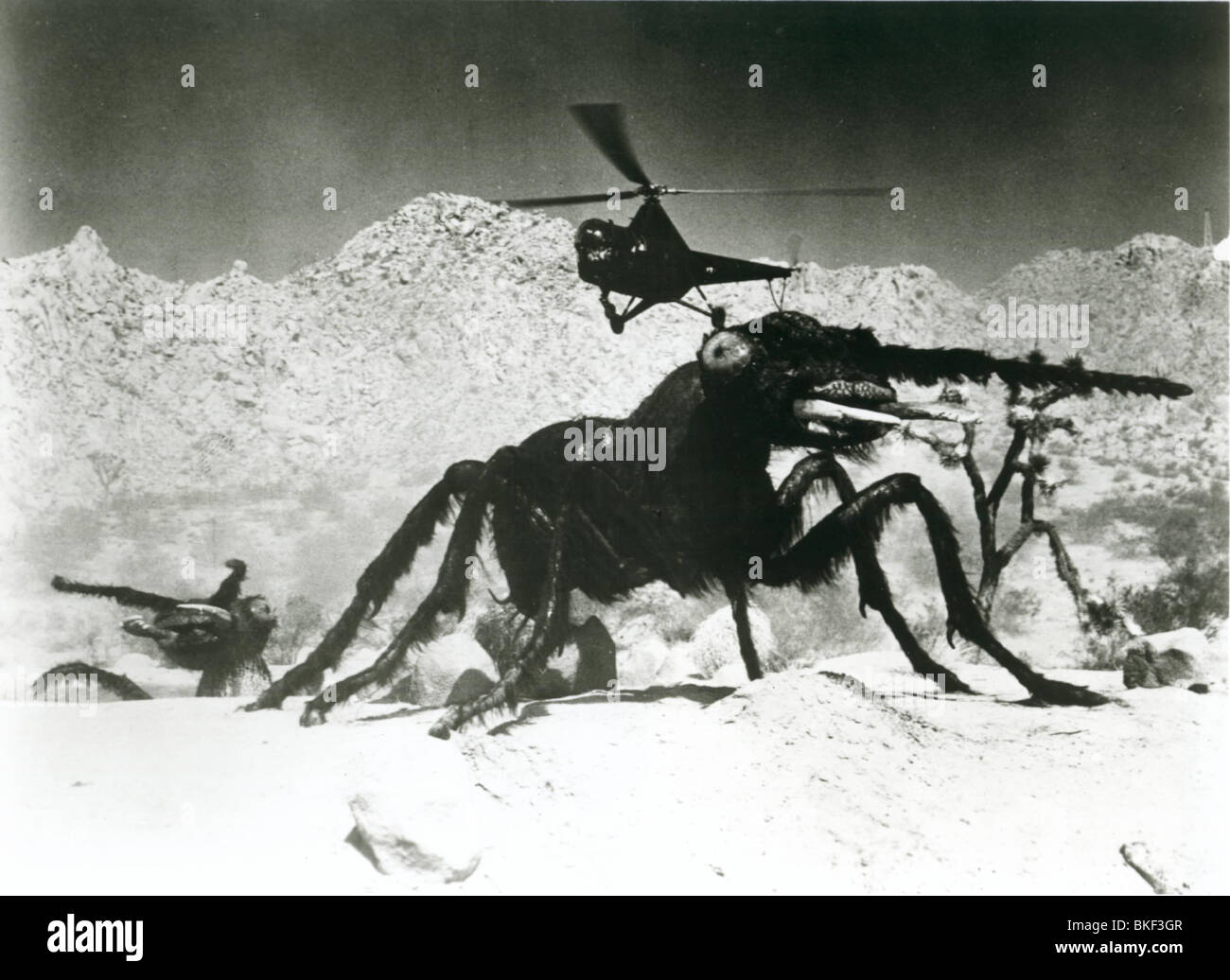 1954 movies hi-res stock photography and images - Alamy