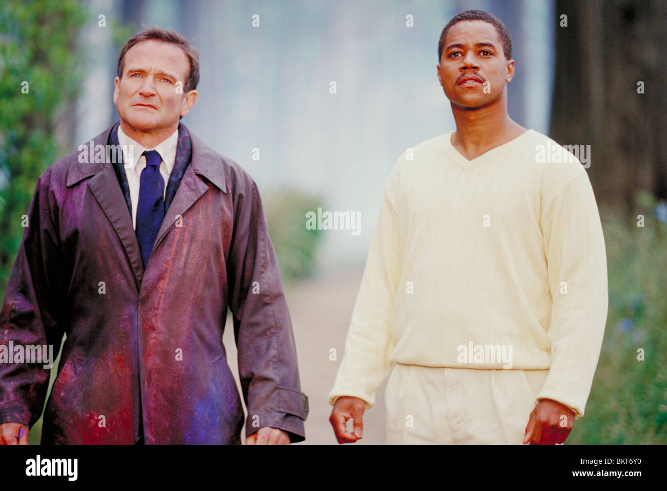 WHAT DREAMS MAY COME (1998) ROBIN WILLIAMS, CUBA GOODING JR WDRC 001 2 Stock Photo Alamy