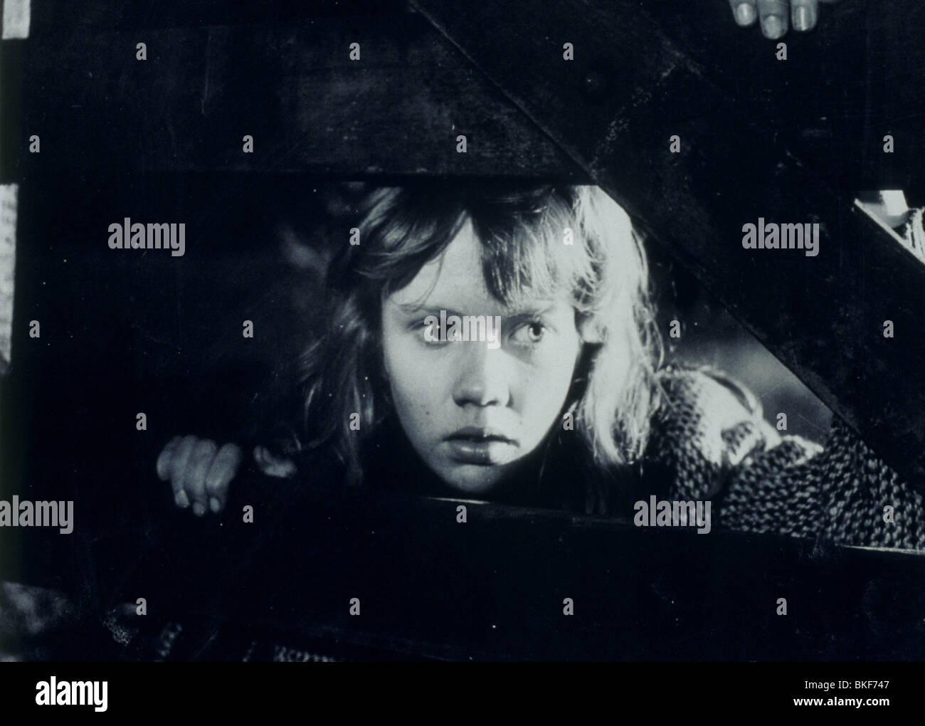 WHISTLE DOWN THE WIND (1961) HAYLEY MILLS WDW 011 Stock Photo Alamy