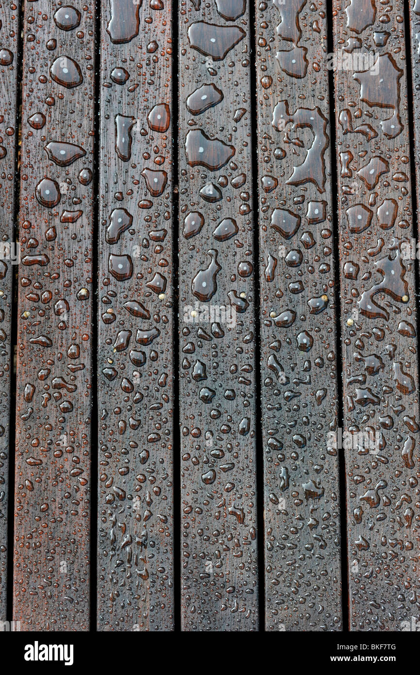 Water sits on a wooden deck after water-proof stain has been applied. Stock Photo