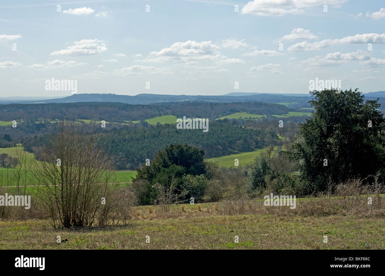 Greensand Ridge Walk High Resolution Stock Photography And Images Alamy