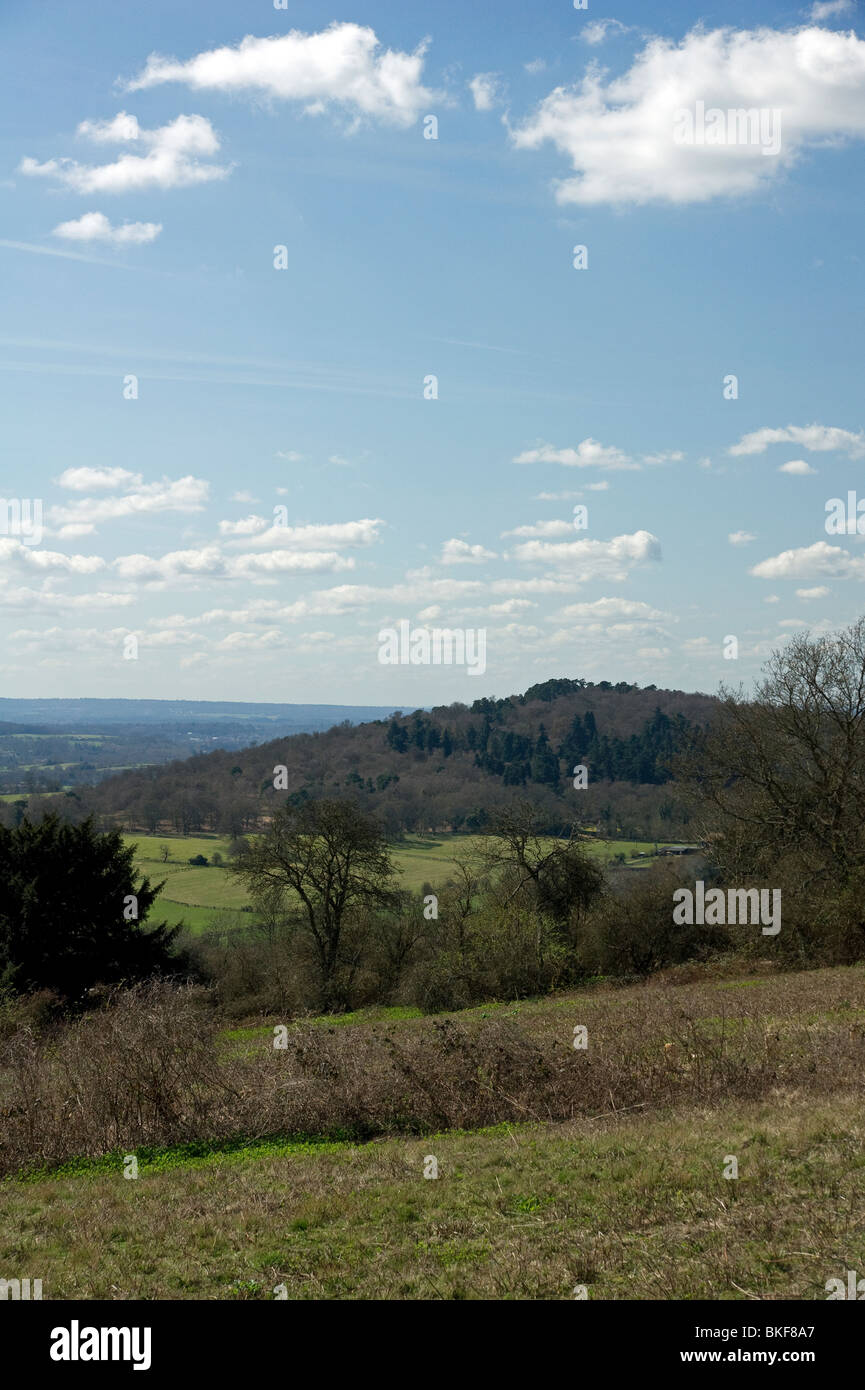 Greensand Ridge Walk High Resolution Stock Photography And Images Alamy