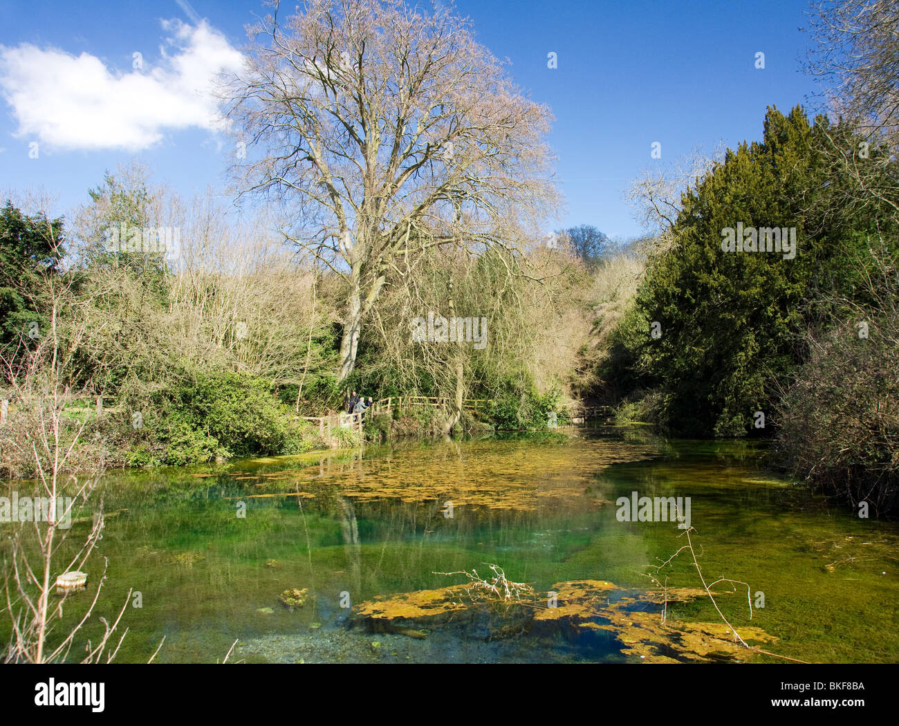 The Silent Pool near Newlands Corner on the North Downs in Surrey Stock ...