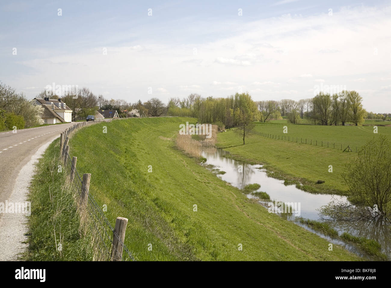 Rural landscape of the foreland and dike along the river Meuse, Wellseind, Gelderland, Netherlands Stock Photo