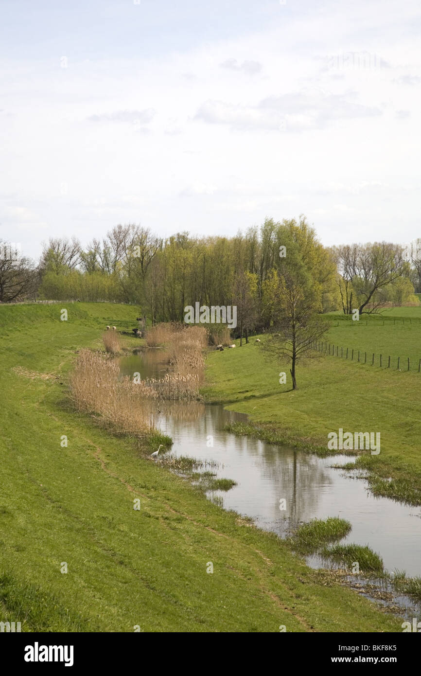 Rural landscape of the foreland along the river Meuse, Wellseind, Gelderland, Netherlands Stock Photo