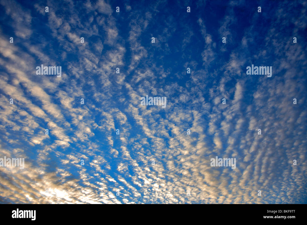 Altocumulus stratiformis Clouds layers Stock Photo
