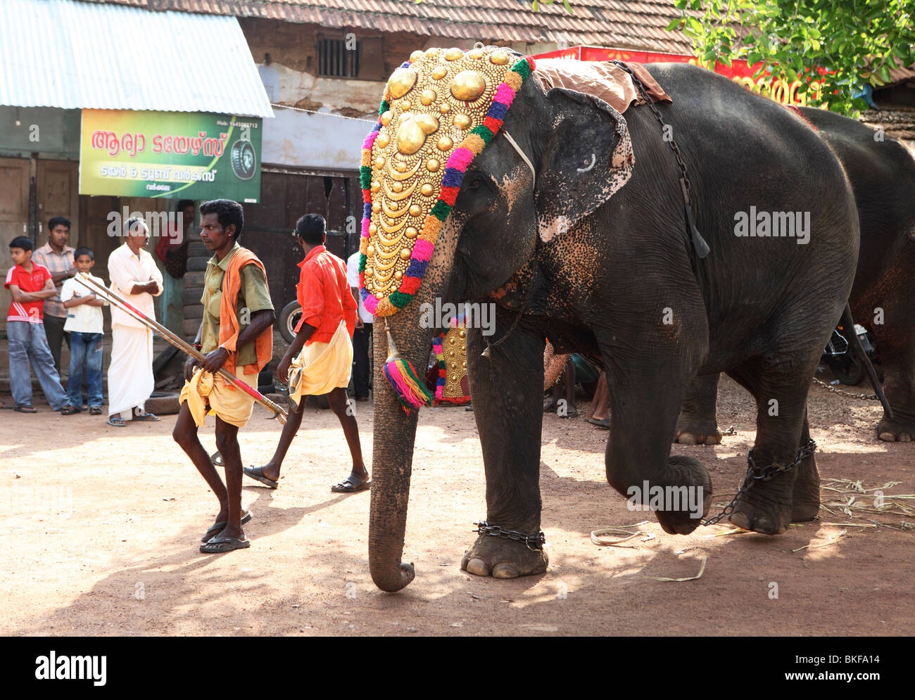 A mahout leads a caparisoned elephant to the line-up at a temple festival in Varkala, Kerala, India. Stock Photo
