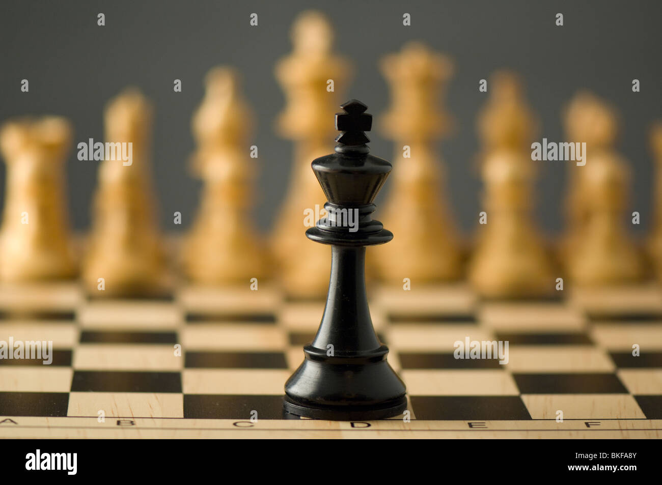 Chess, black King in front of white chess pieces on chess board Stock Photo