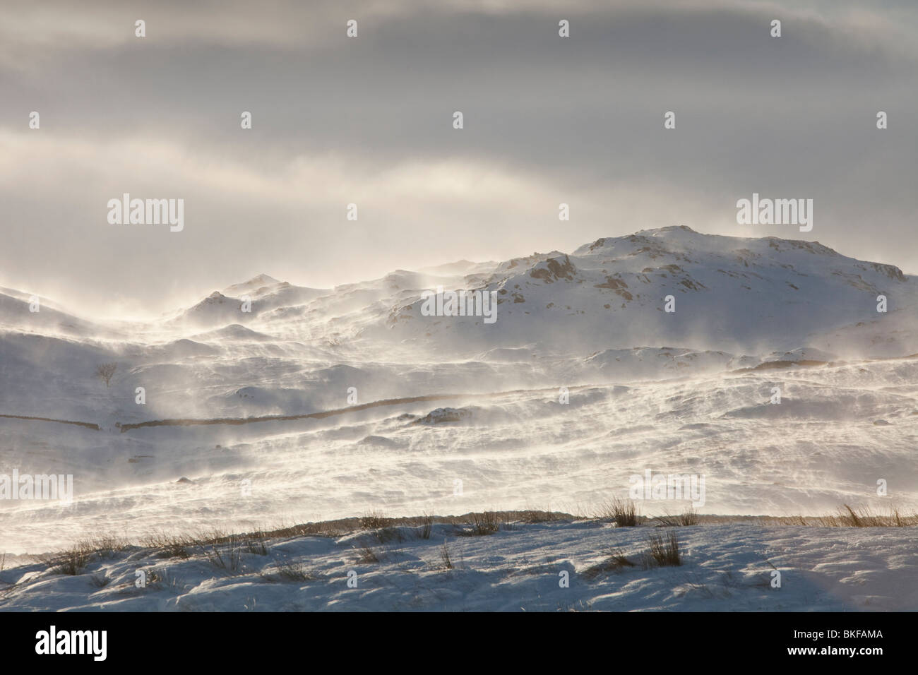 Snow drifting on Wansfell in the Lake District, UK Stock Photo