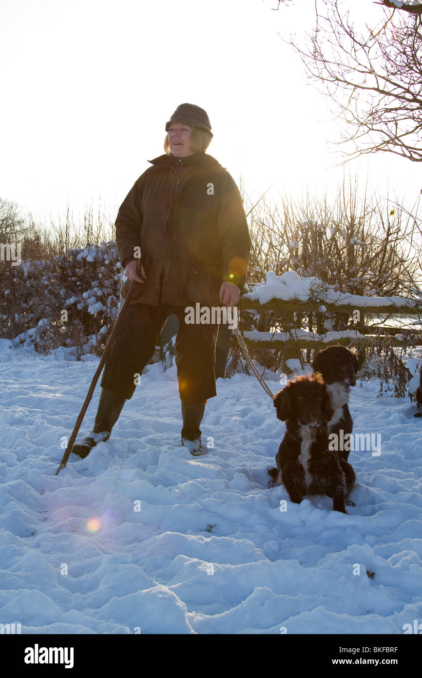 Beater waiting at pheasant shot.  Cocker Spaniels. In a snowy field in low sunshine. Stock Photo