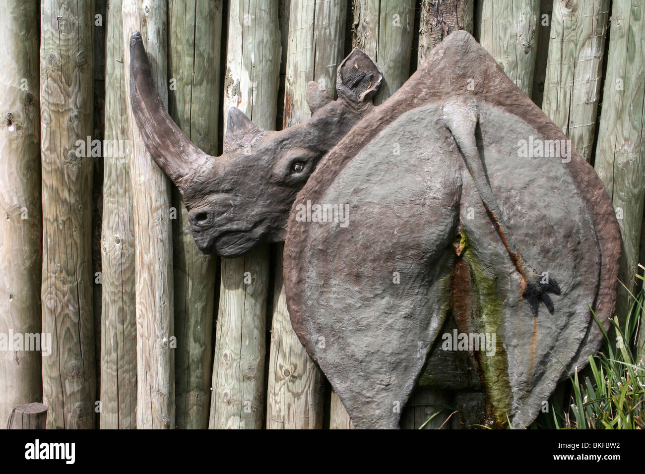 Black Rhino Sculpture Taken At Chester Zoo, England, UK Stock Photo