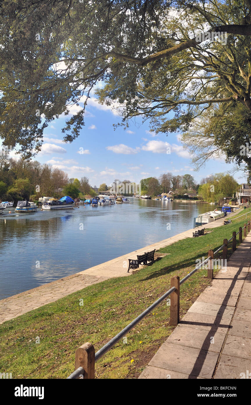 Riverside at Sunbury on Thames Stock Photo Alamy