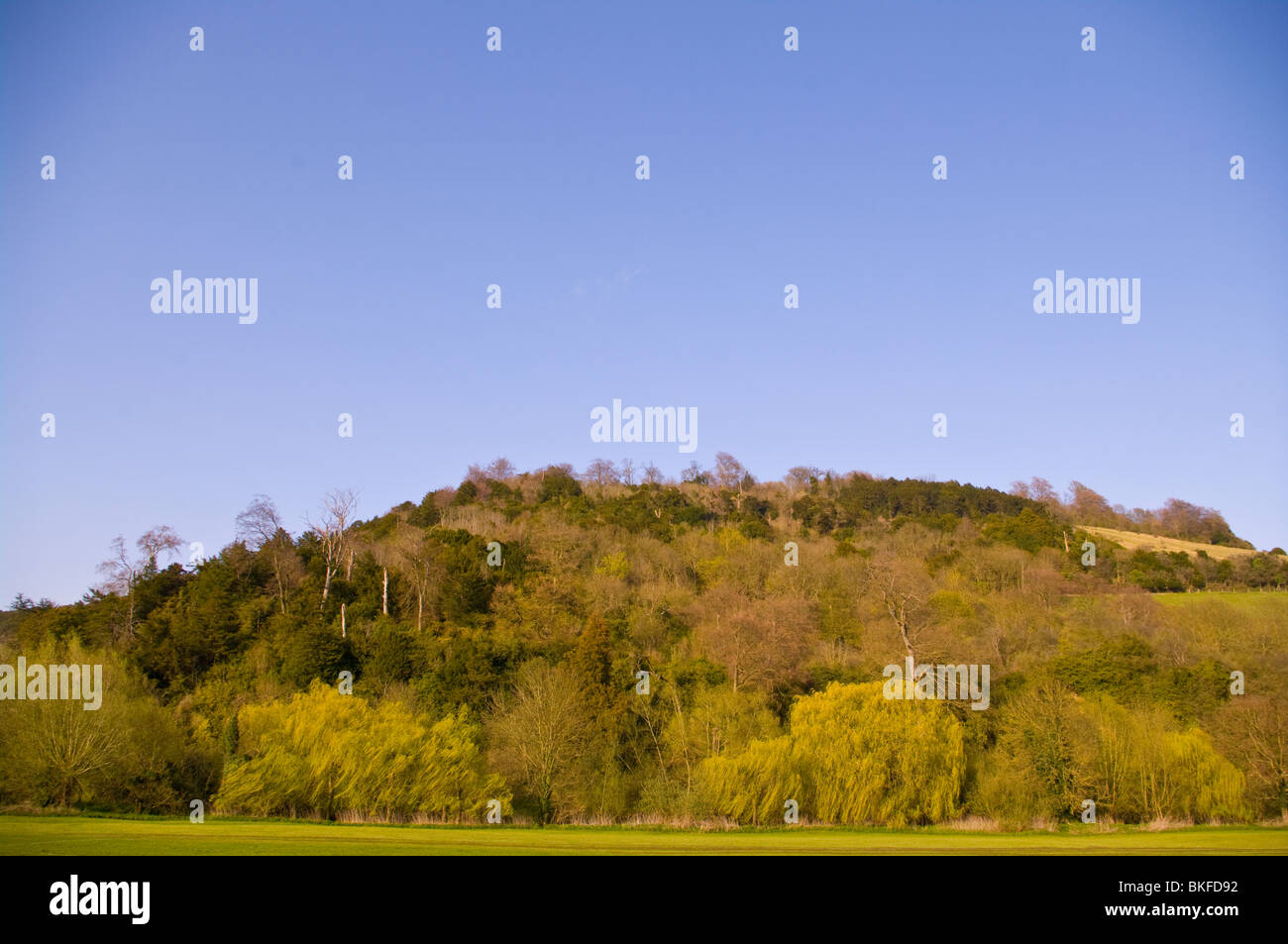 Box Hill Surrey England Stock Photo Alamy