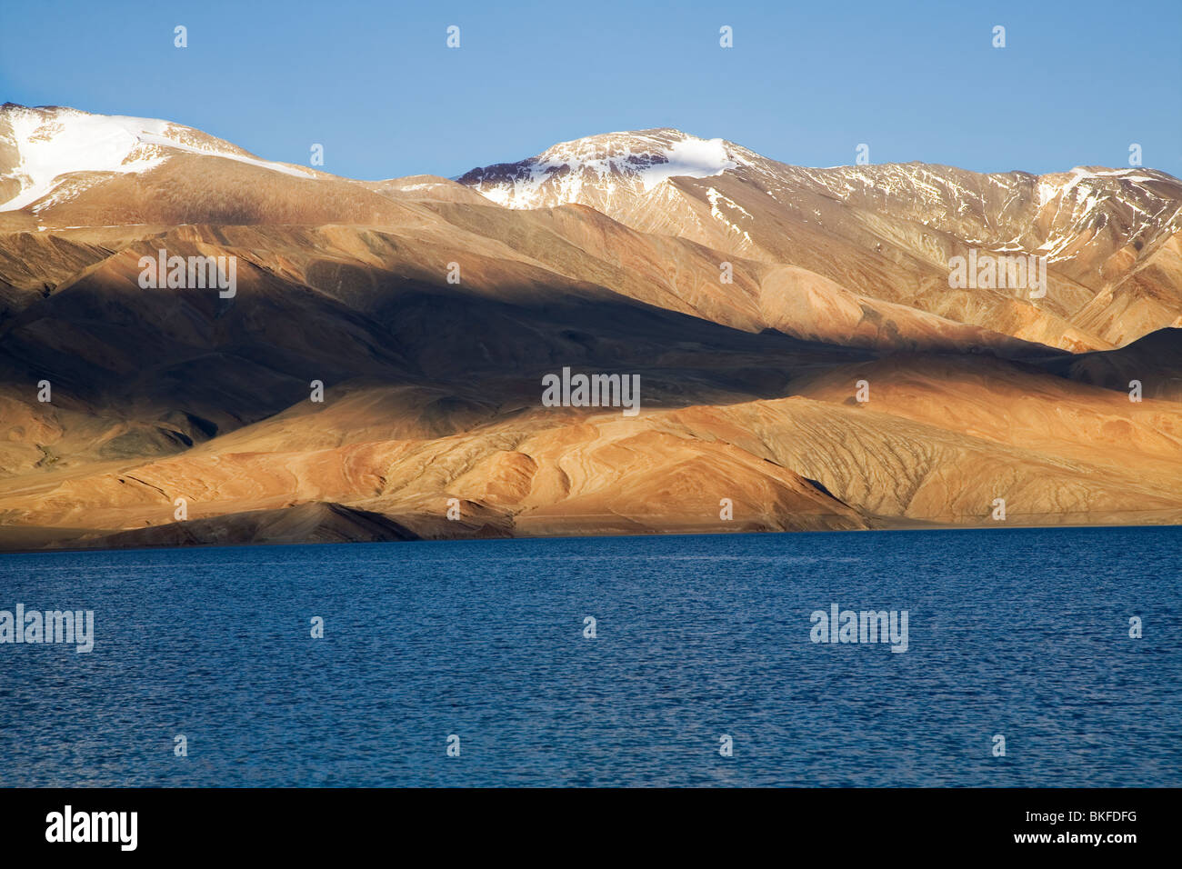Tso Moriri, high altitude brackish lake in the Changthang plateau of the Ladakh. Jammu & Kashmir