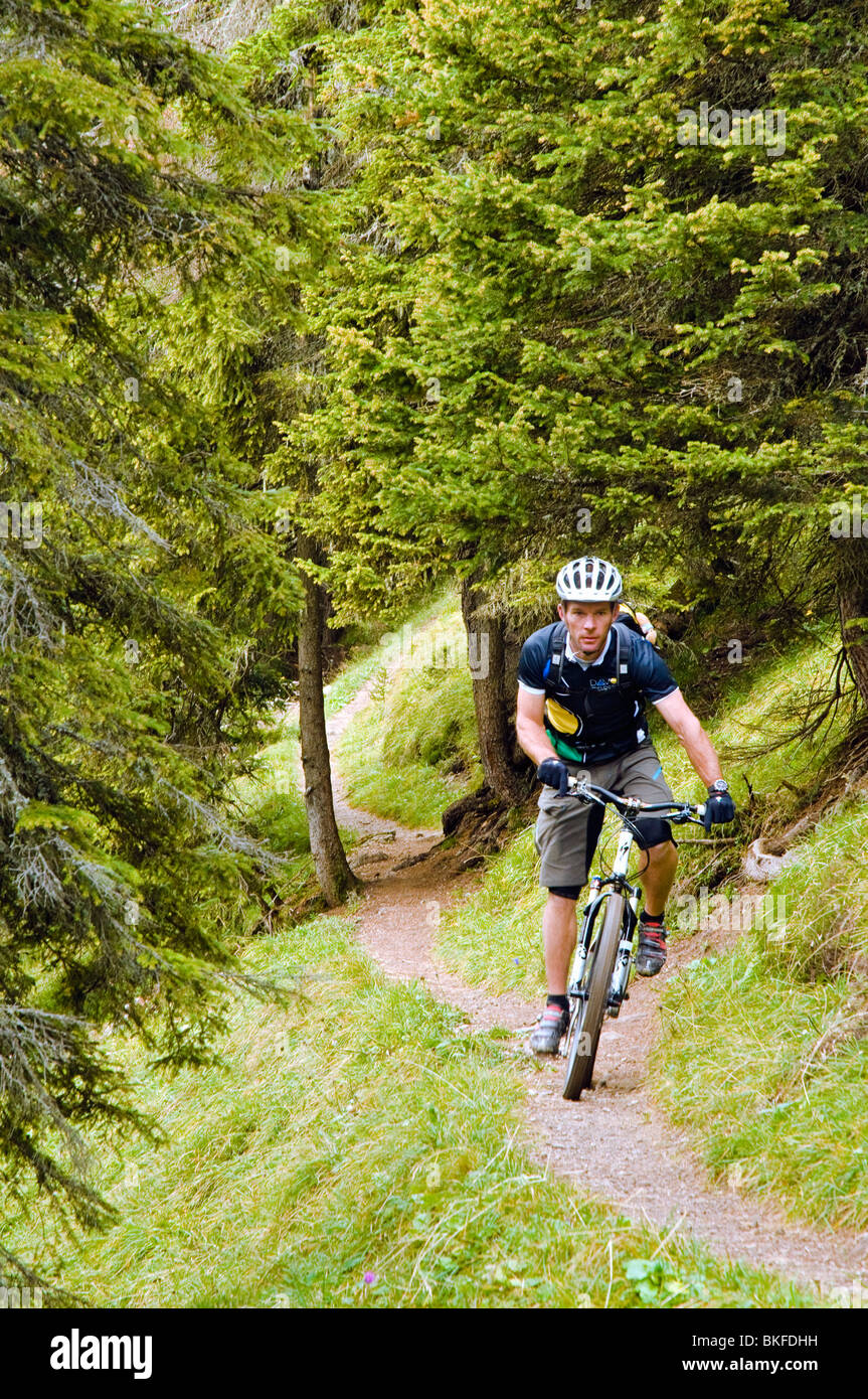 alpine singletrack