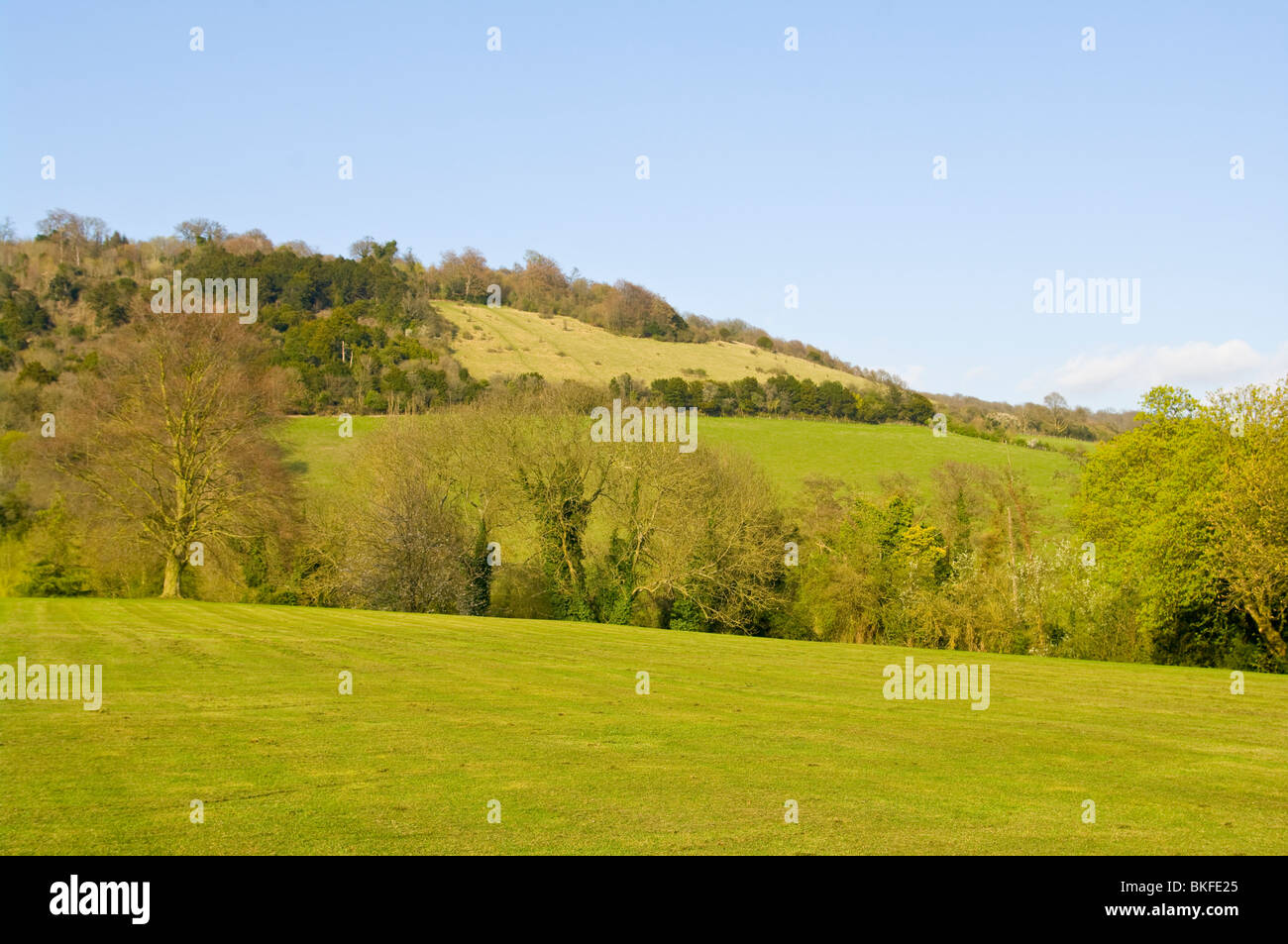 Box Hill Surrey England Stock Photo Alamy