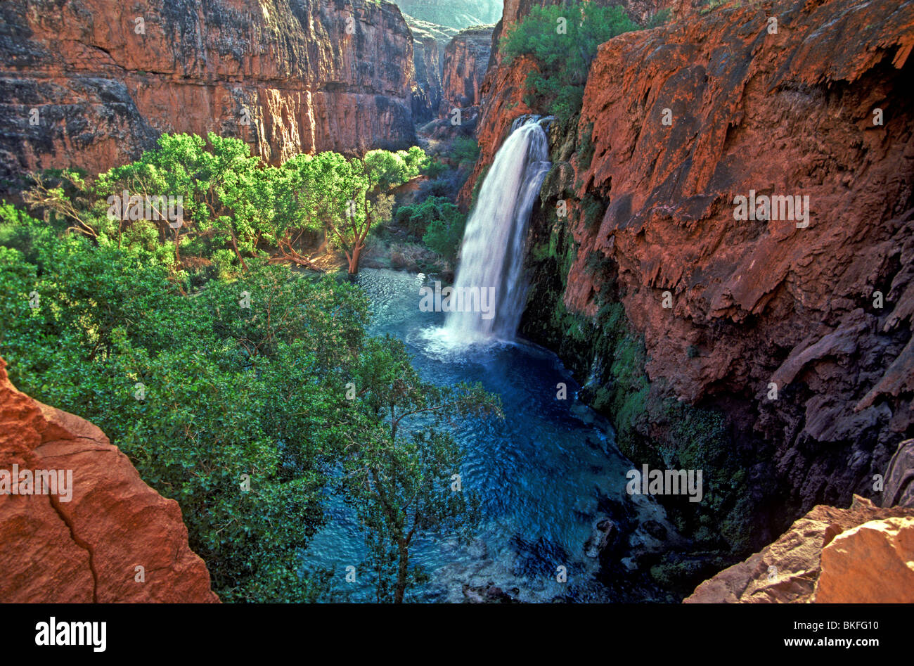 Havasu Falls on Havasu Creek in the Grand Canyon, Havasupai Indian